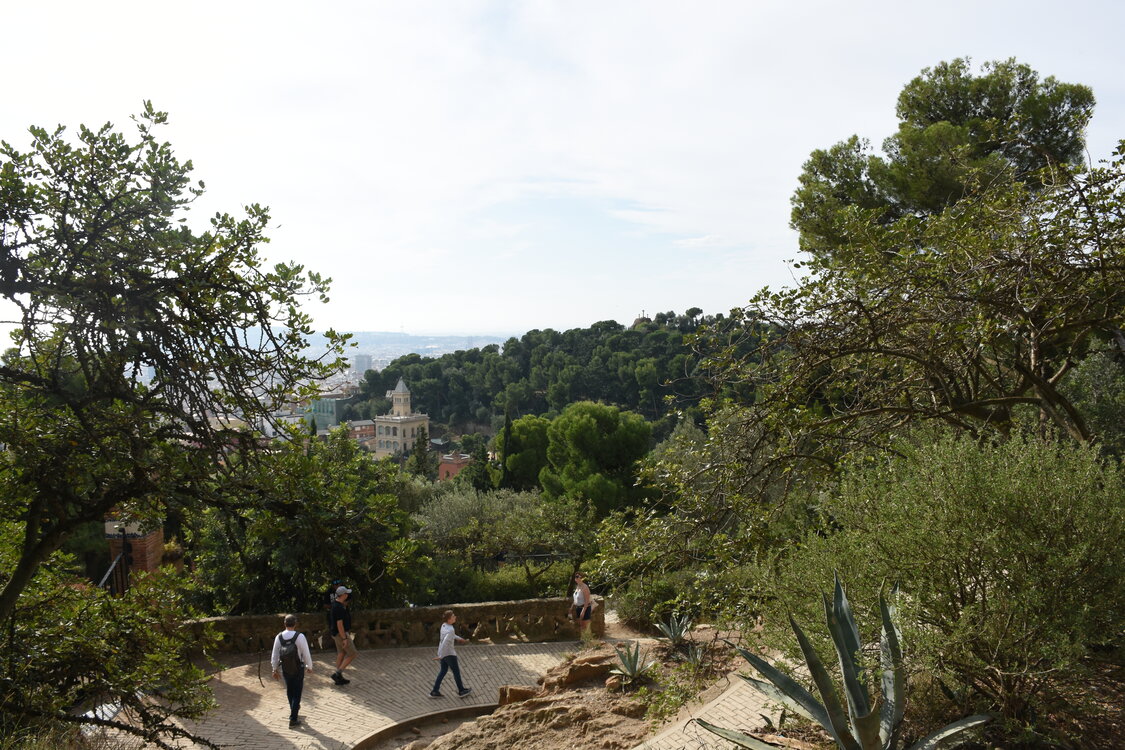 DSC_1686.JPG