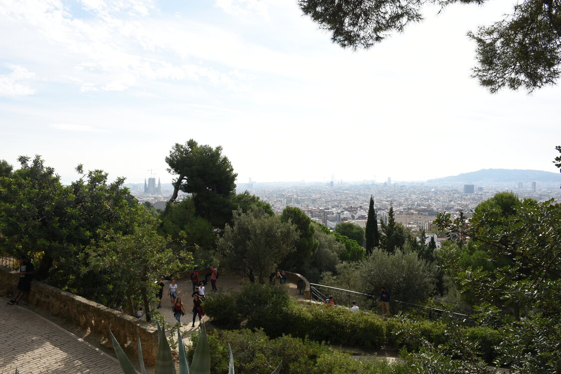 DSC_1693.JPG