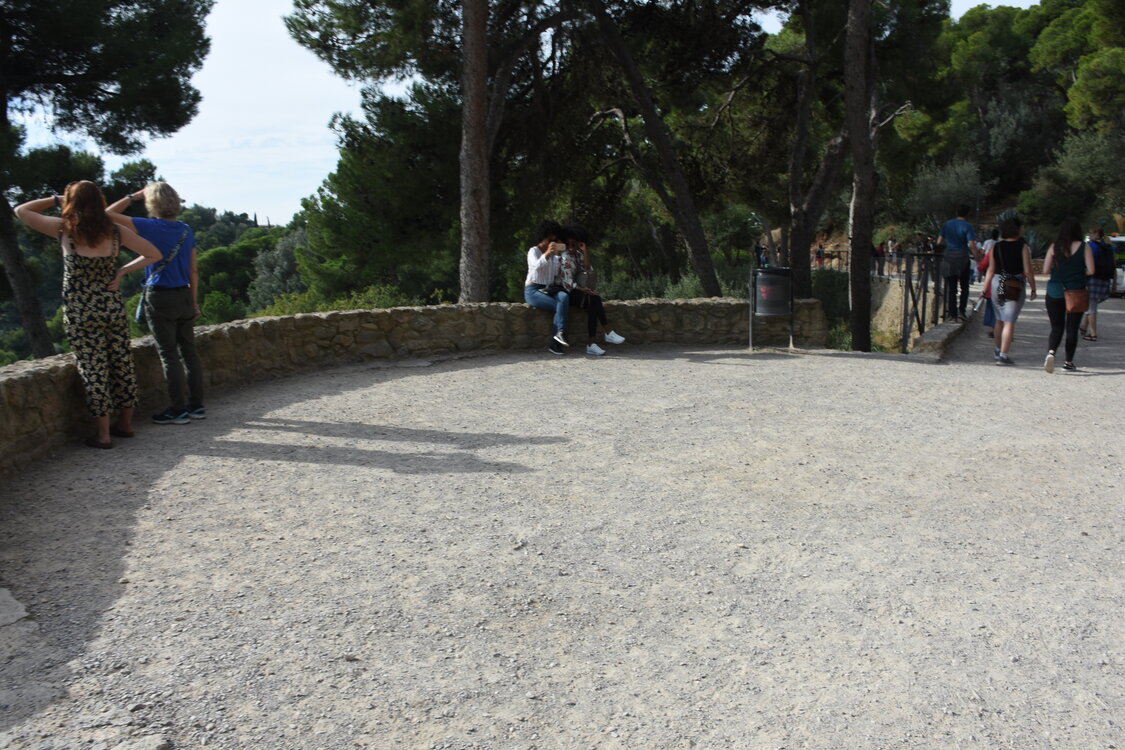 DSC_1695.JPG