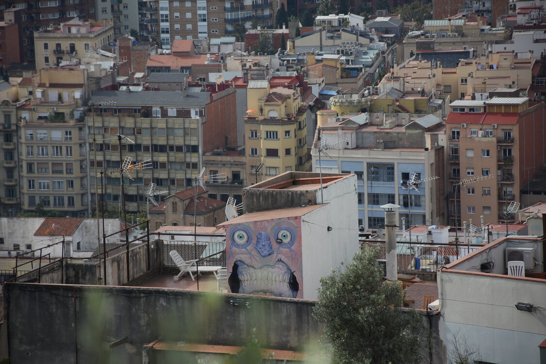 DSC_1702.JPG