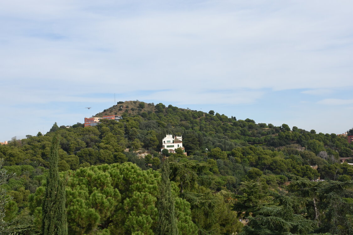 DSC_1705.JPG