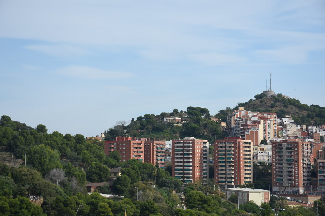 DSC_1709.JPG