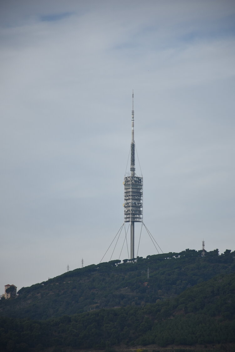 DSC_1717.JPG