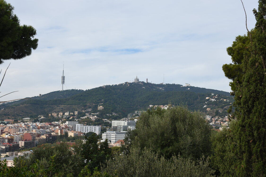 DSC_1718.JPG