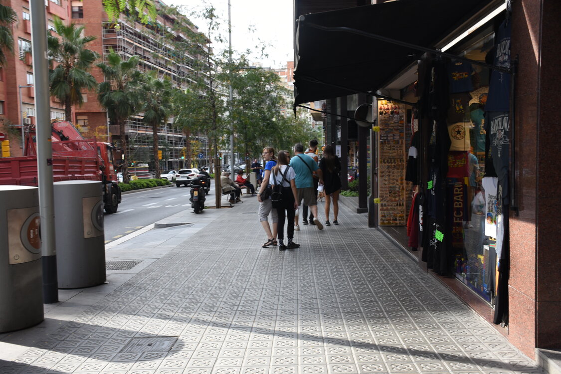 DSC_1736.JPG