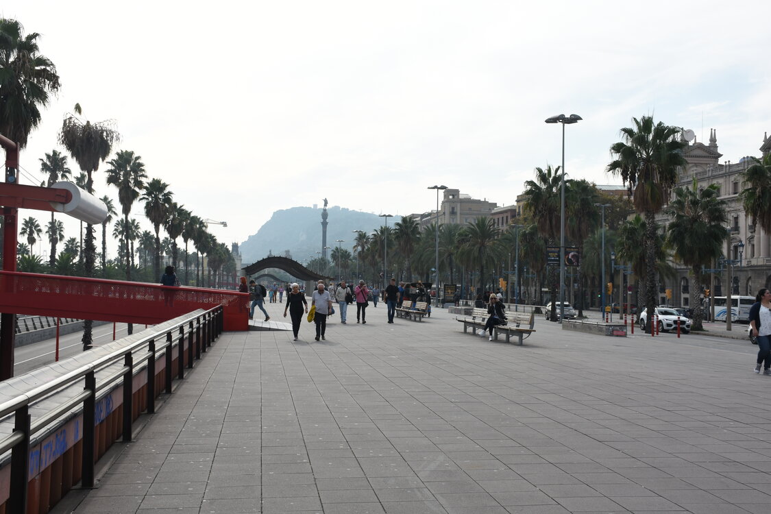 DSC_1743.JPG
