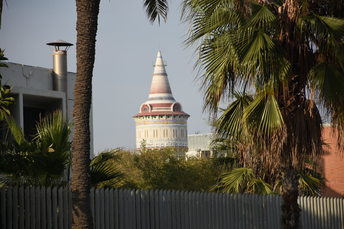 DSC_1770.JPG