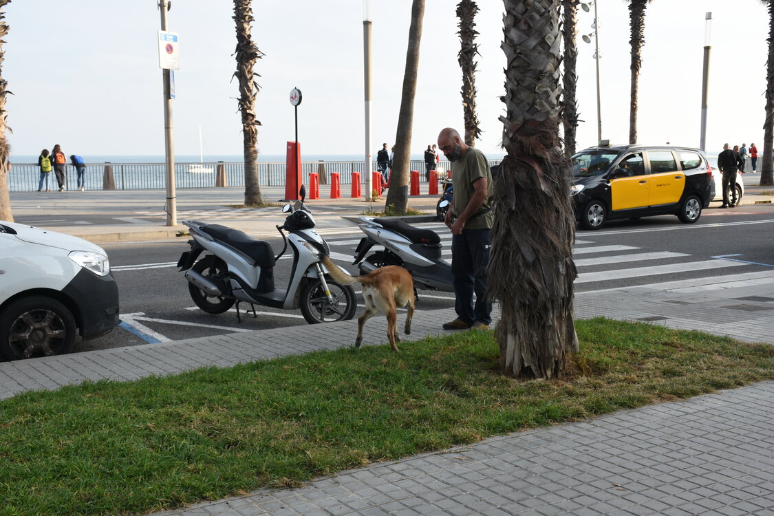 DSC_1775.JPG