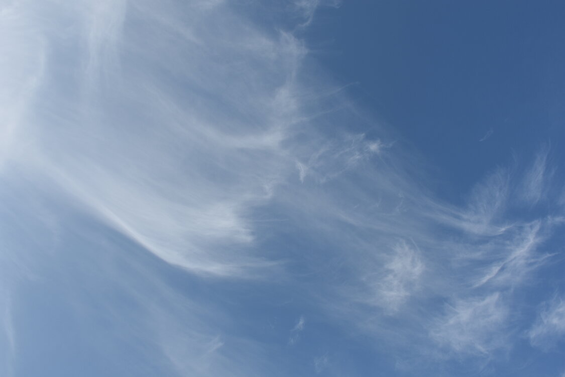 DSC_1783.JPG