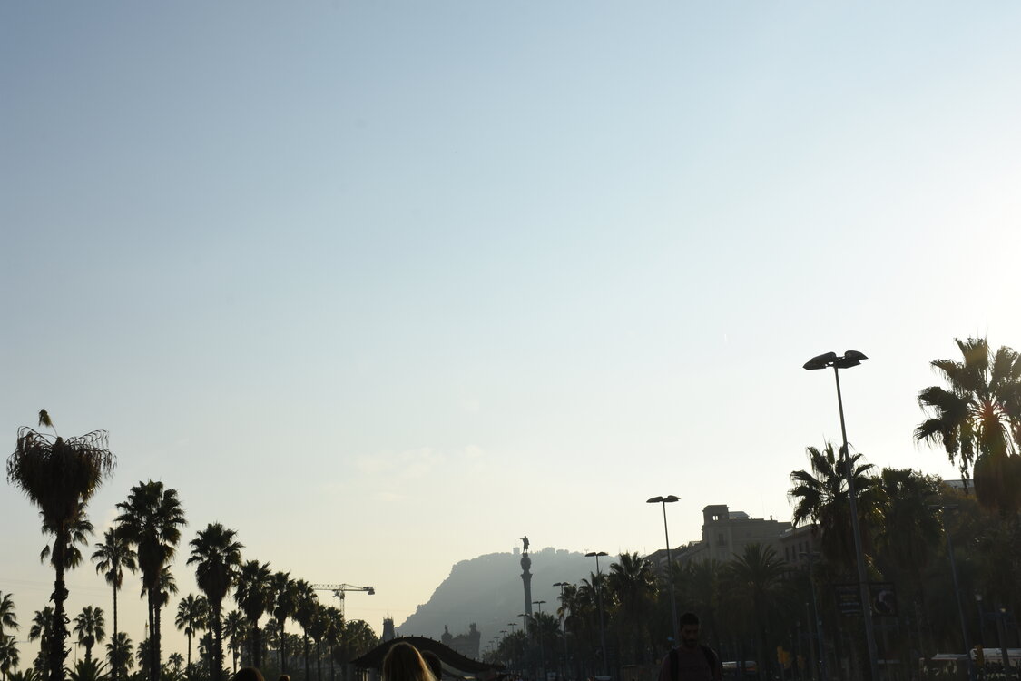 DSC_1793.JPG