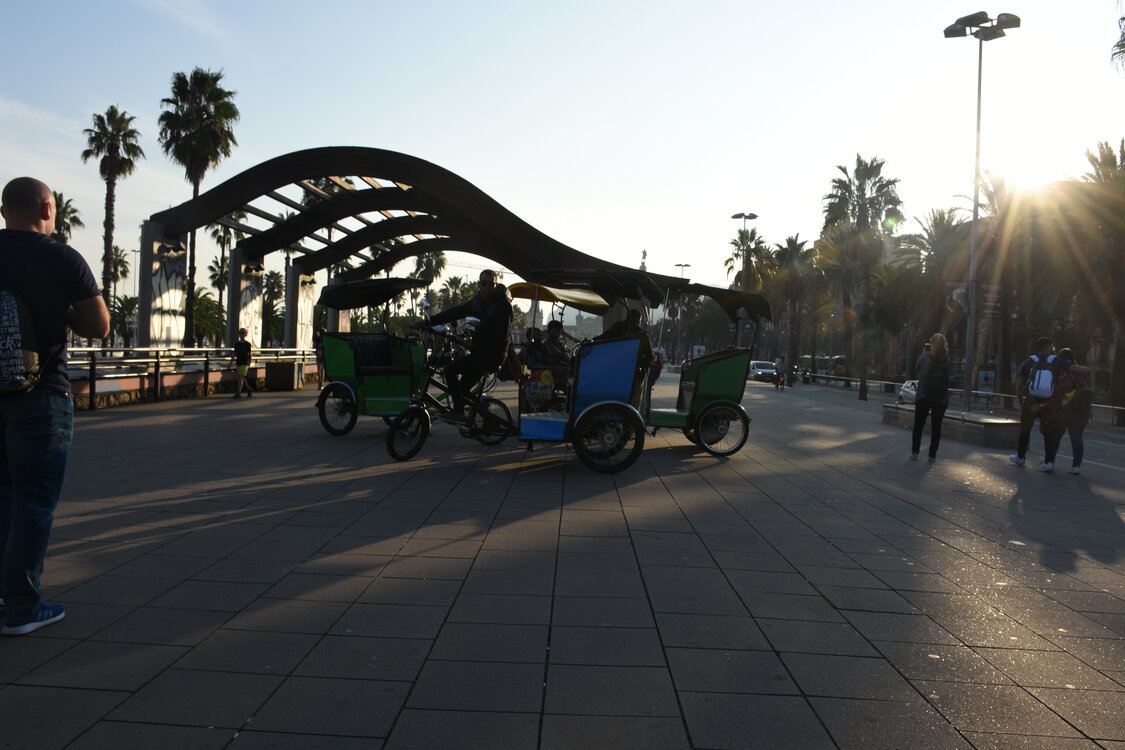 DSC_1802.JPG