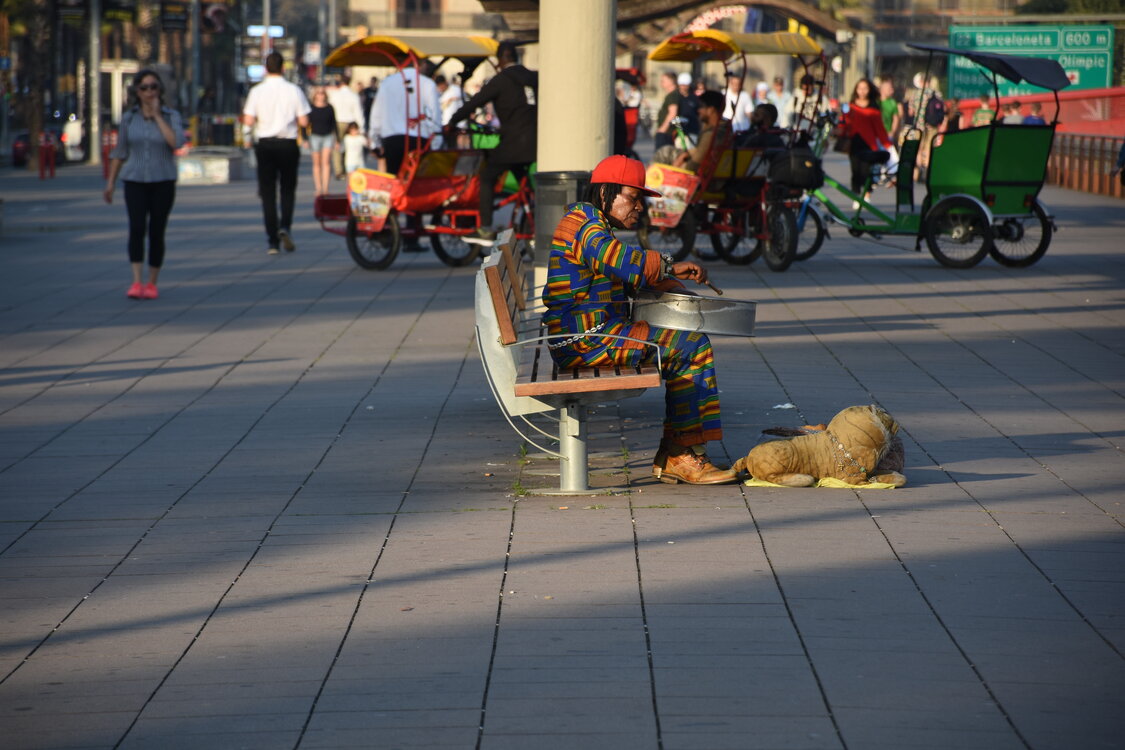 DSC_1806.JPG