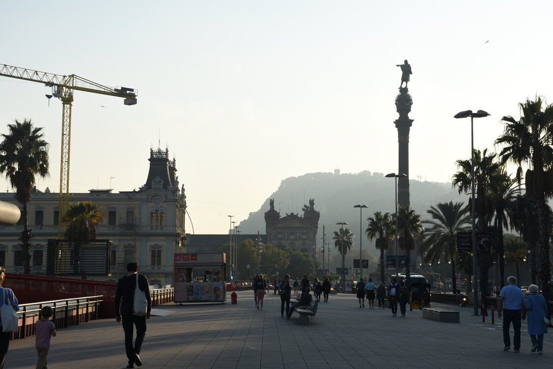 DSC_1809.JPG