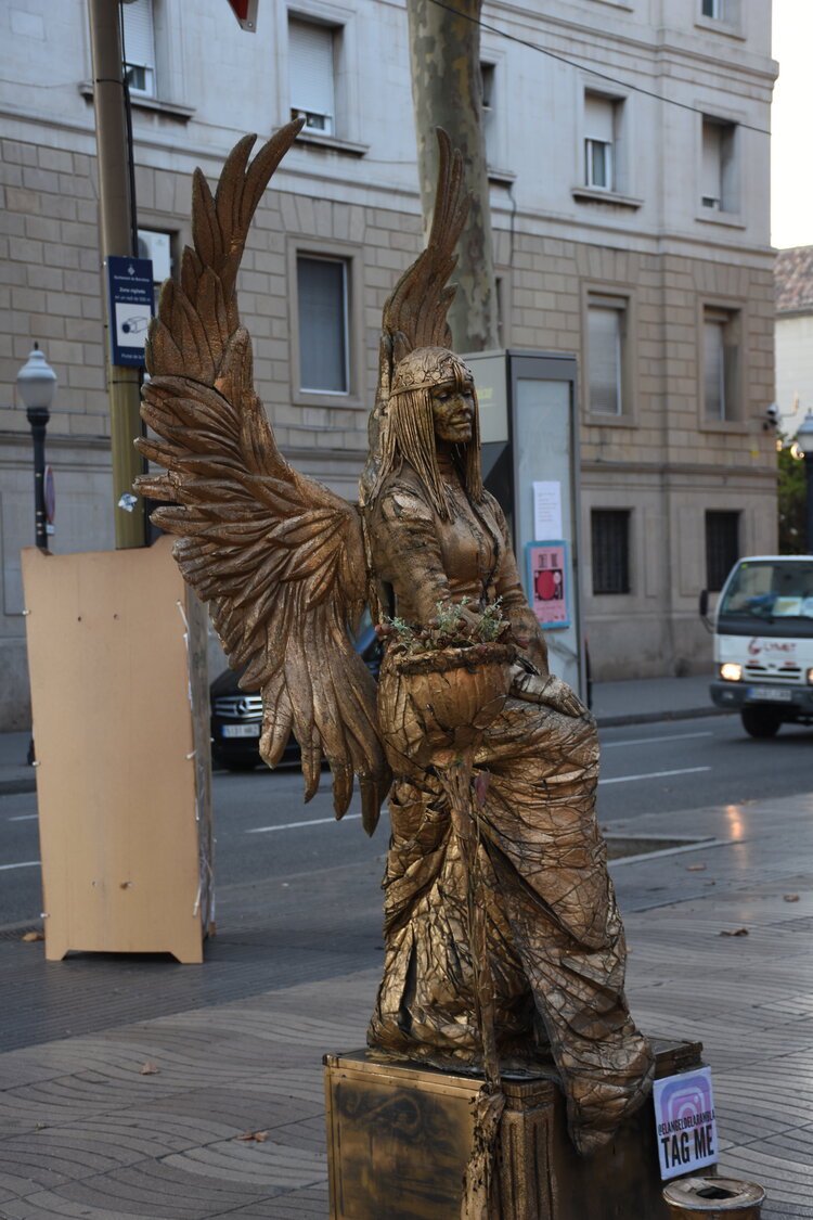 DSC_1825.JPG