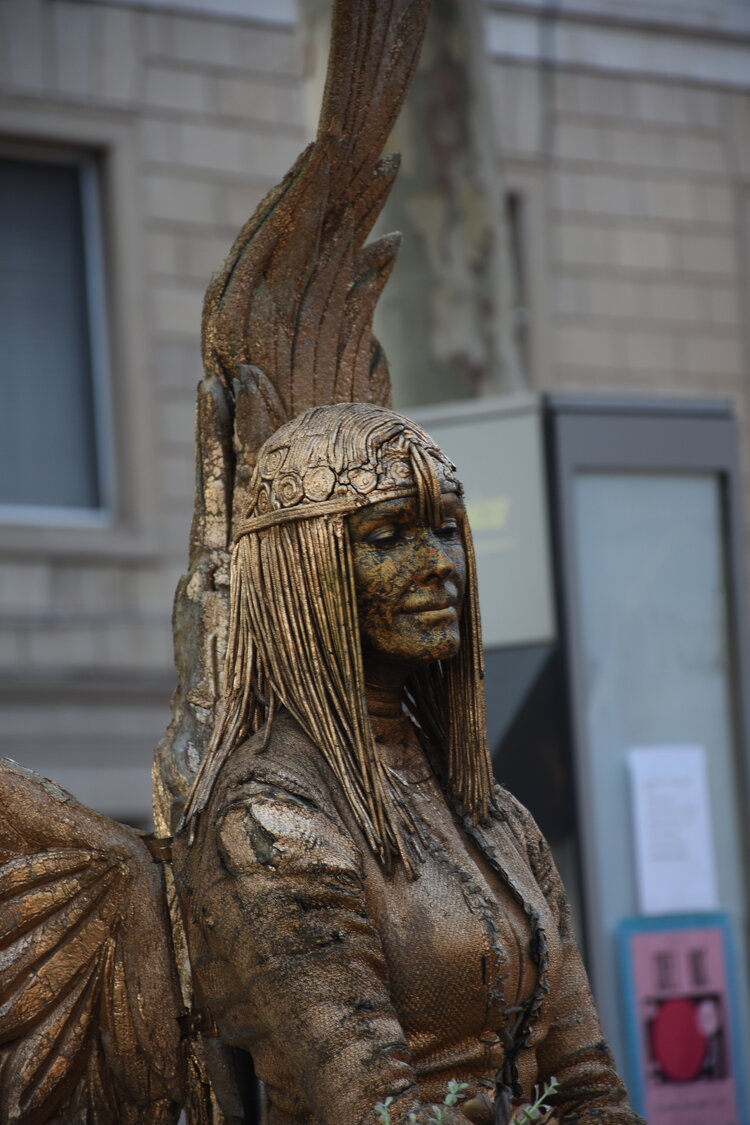 DSC_1826.JPG