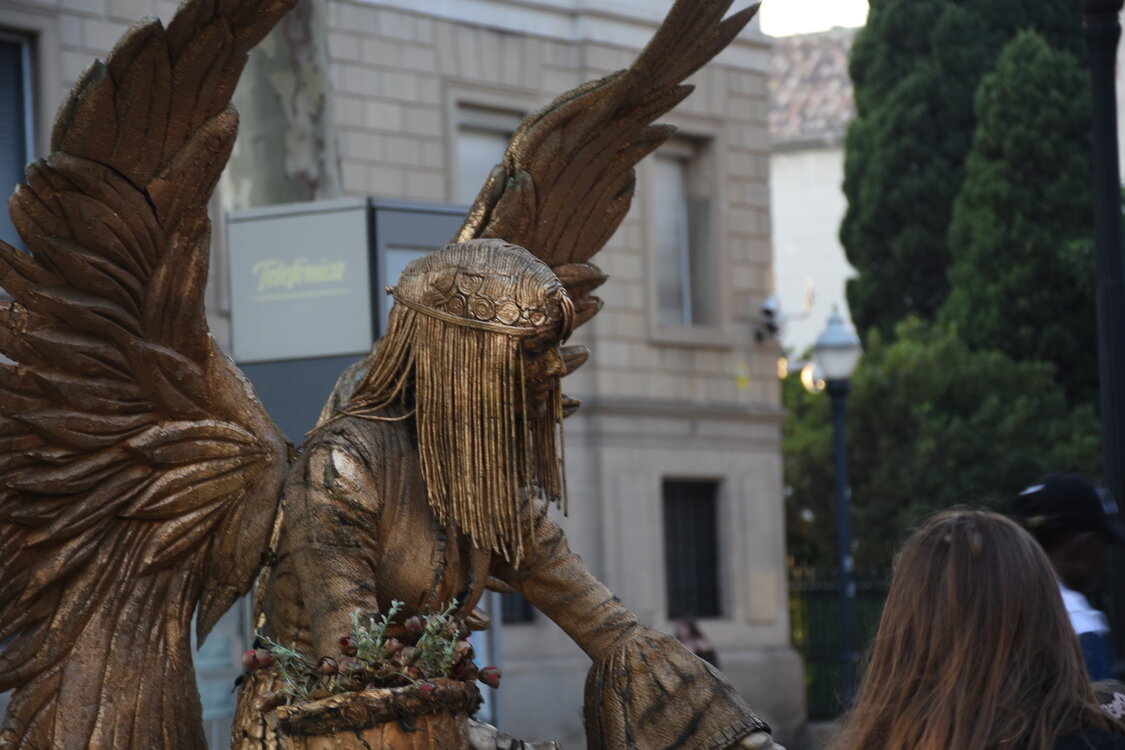 DSC_1831.JPG