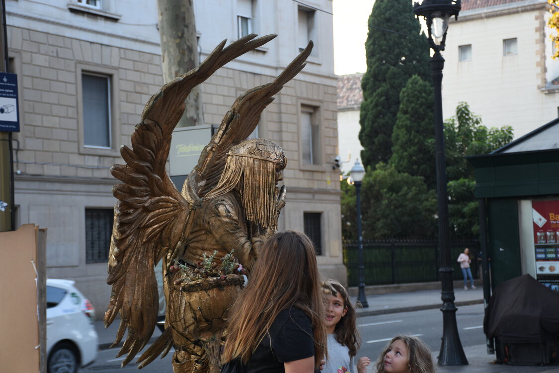 DSC_1833.JPG
