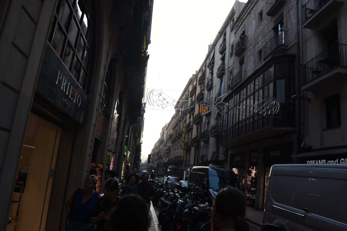 DSC_1840.JPG