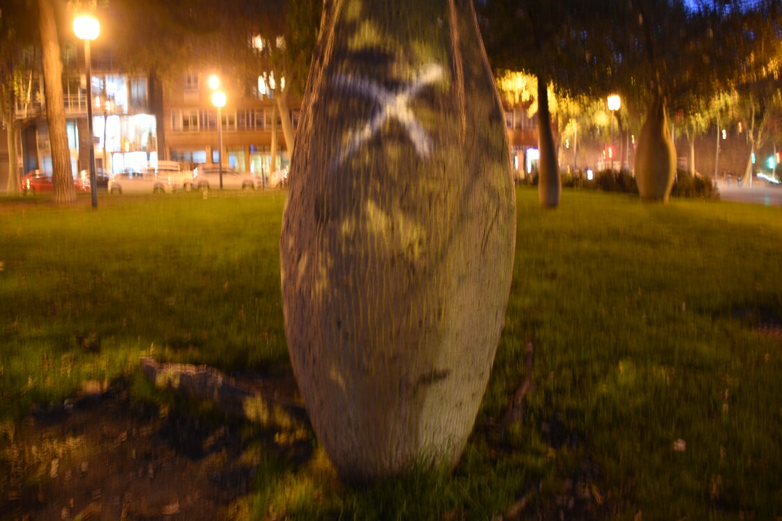 DSC_1842.JPG
