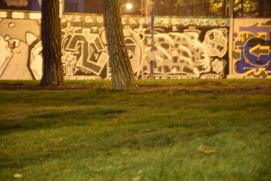 DSC_1853.JPG
