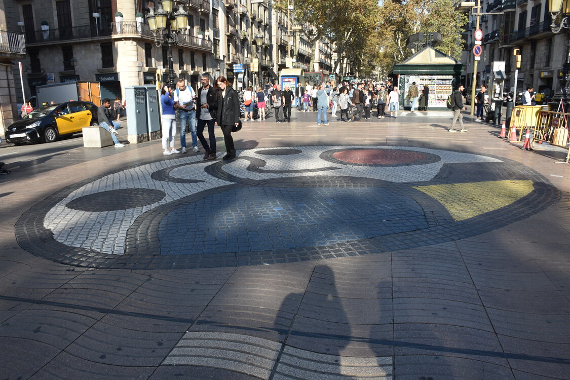 DSC_1875.JPG