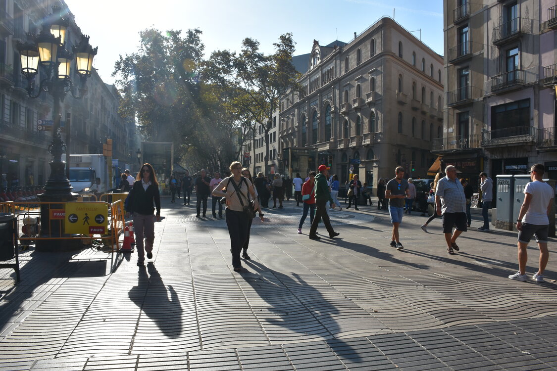 DSC_1876.JPG