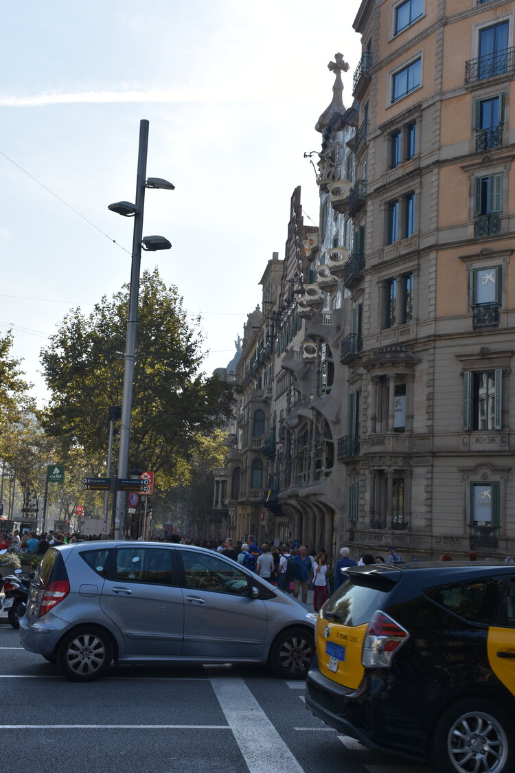 DSC_1922.JPG
