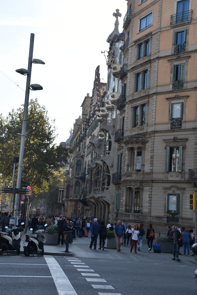 DSC_1924.JPG