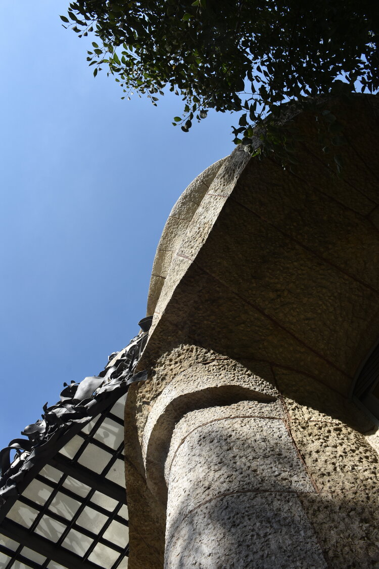 DSC_1949.JPG
