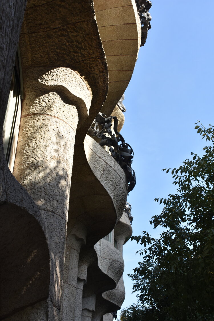 DSC_1950.JPG