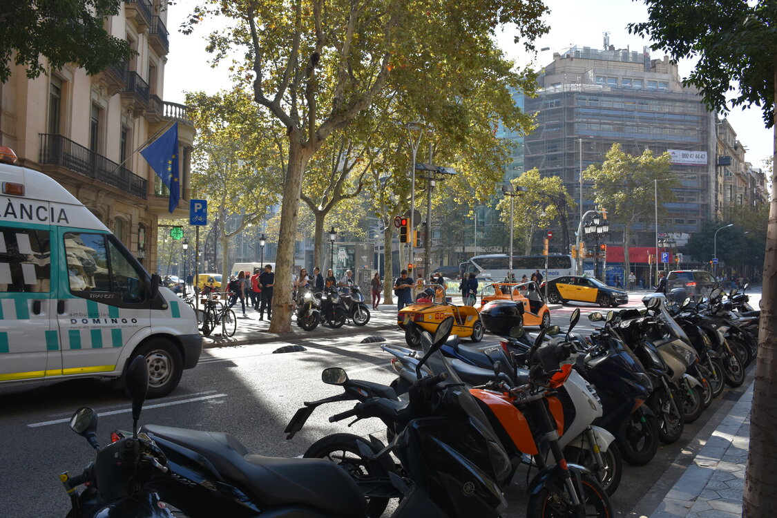 DSC_1951.JPG