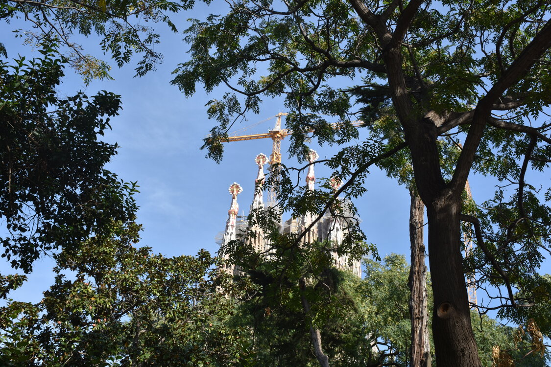 DSC_1976.JPG