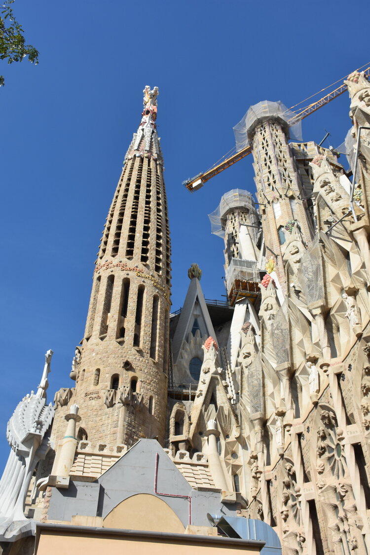 DSC_2028.JPG