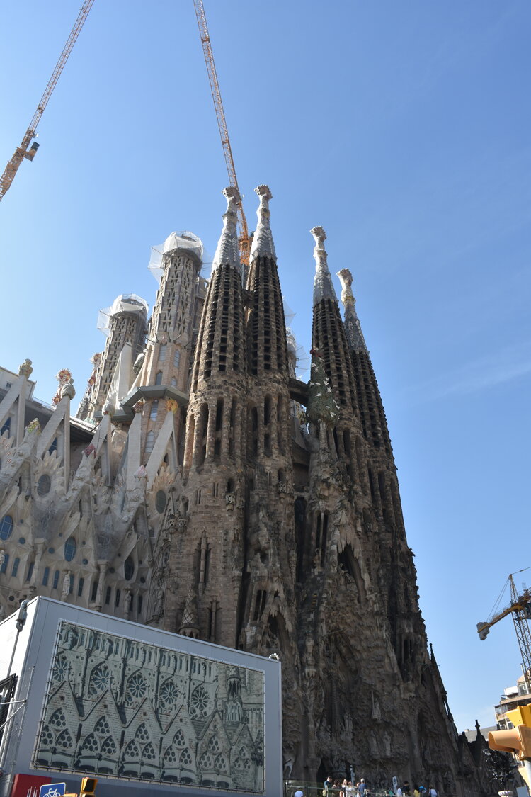 DSC_2030.JPG