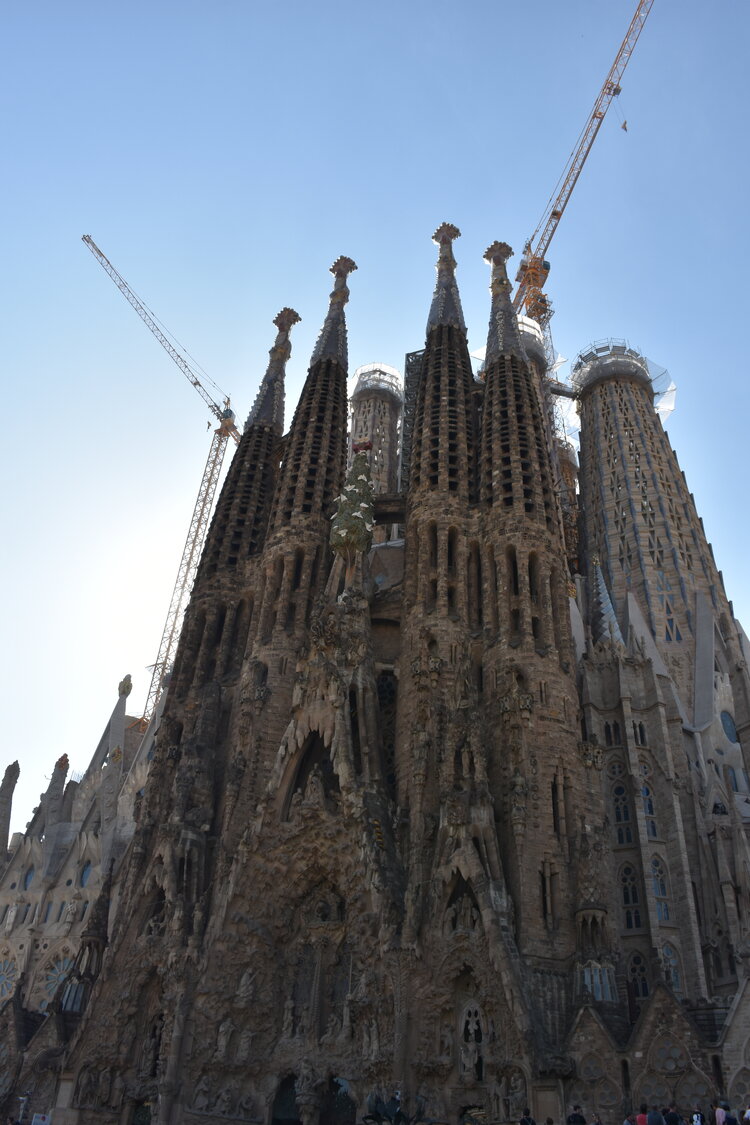 DSC_2038.JPG