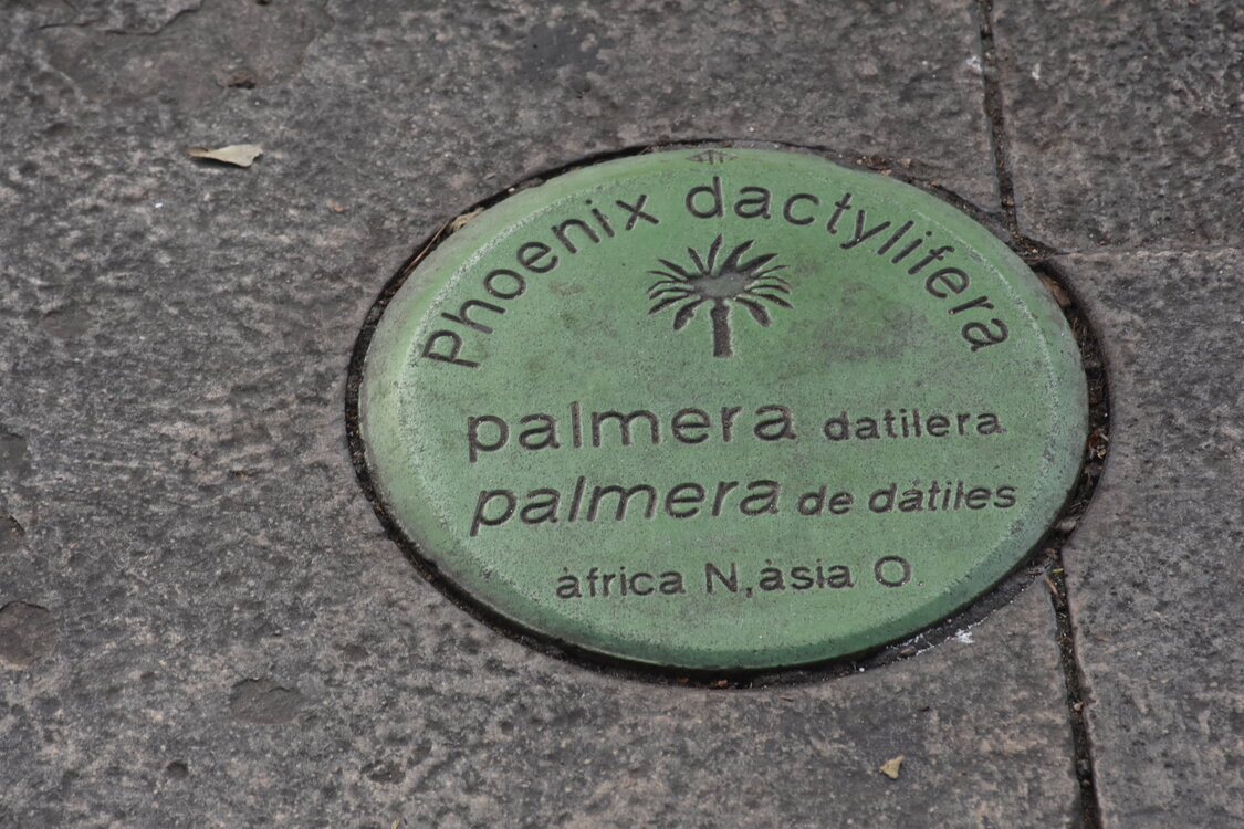DSC_2118.JPG