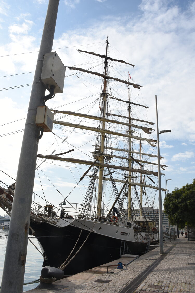 DSC_2146.JPG
