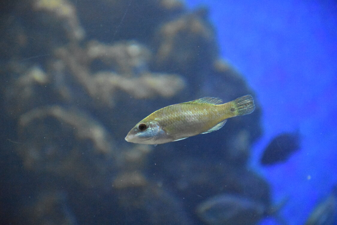DSC_2157.JPG