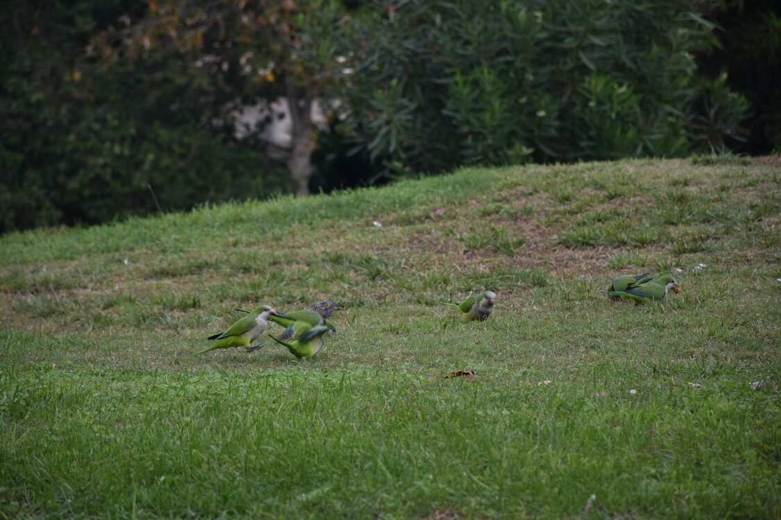 DSC_2283.JPG