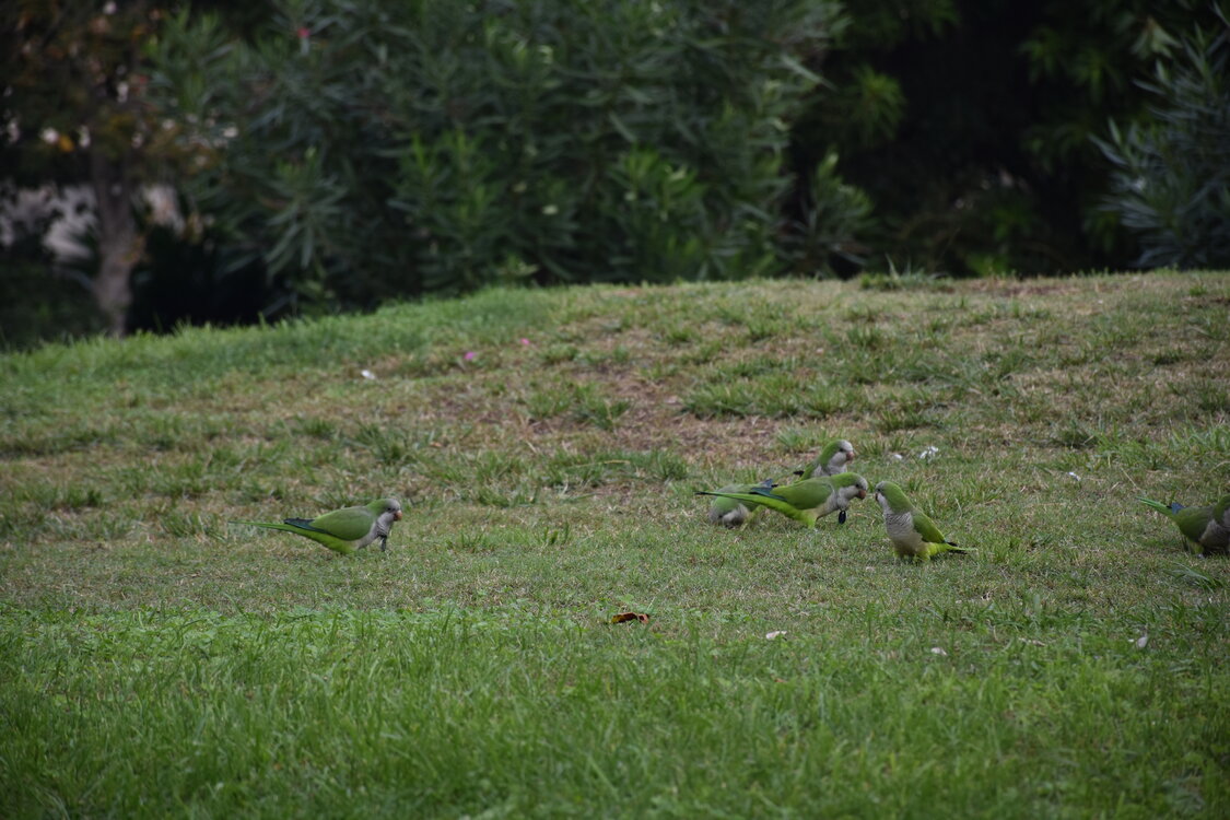 DSC_2284.JPG