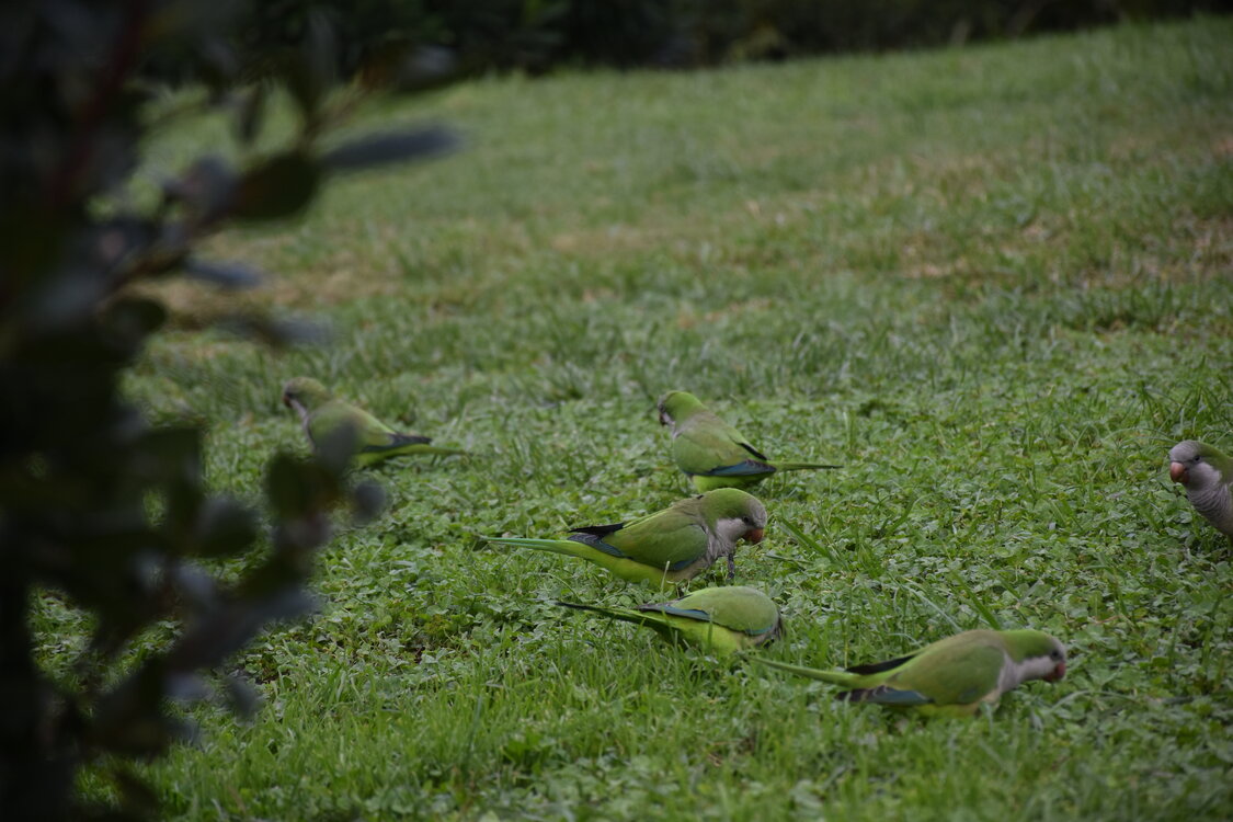 DSC_2289.JPG