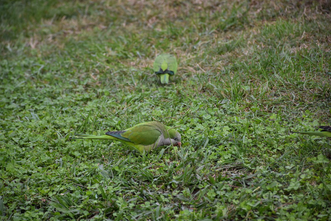 DSC_2291.JPG