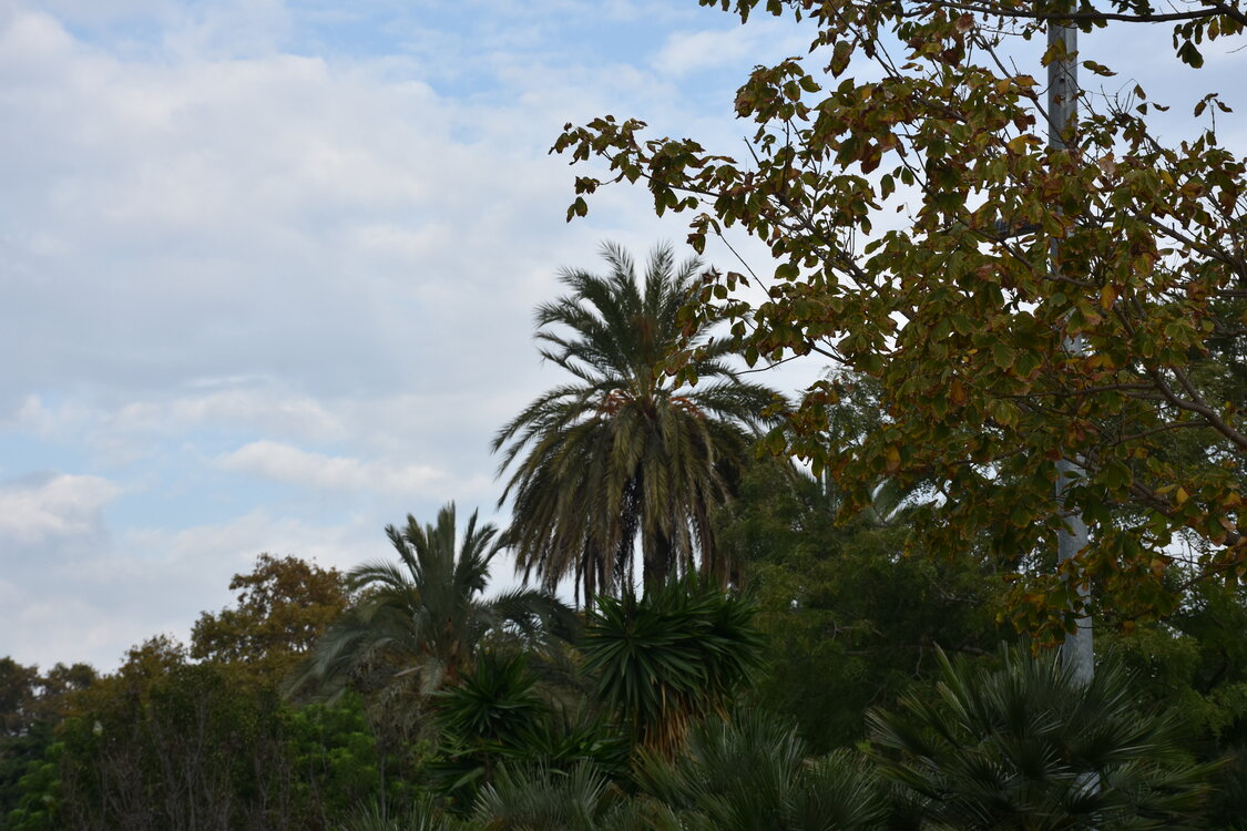 DSC_2294.JPG