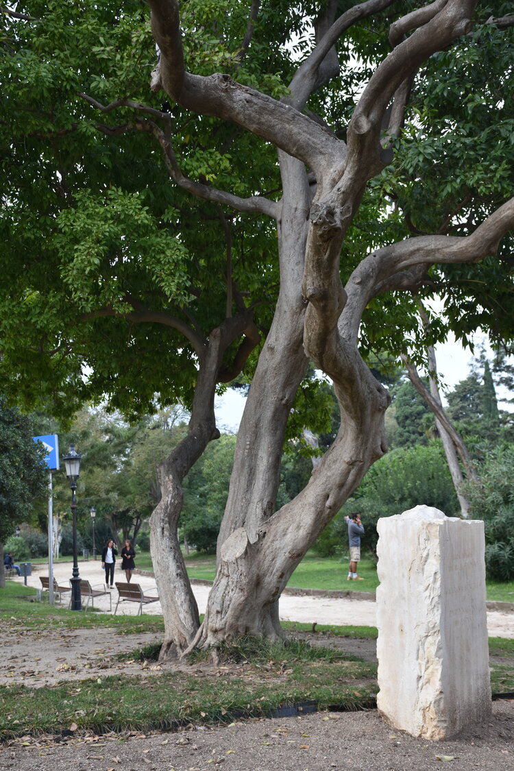 DSC_2295.JPG