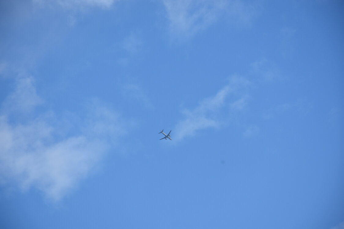 DSC_2301.JPG