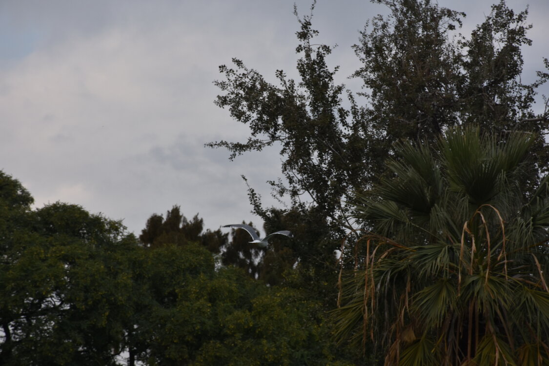 DSC_2303.JPG