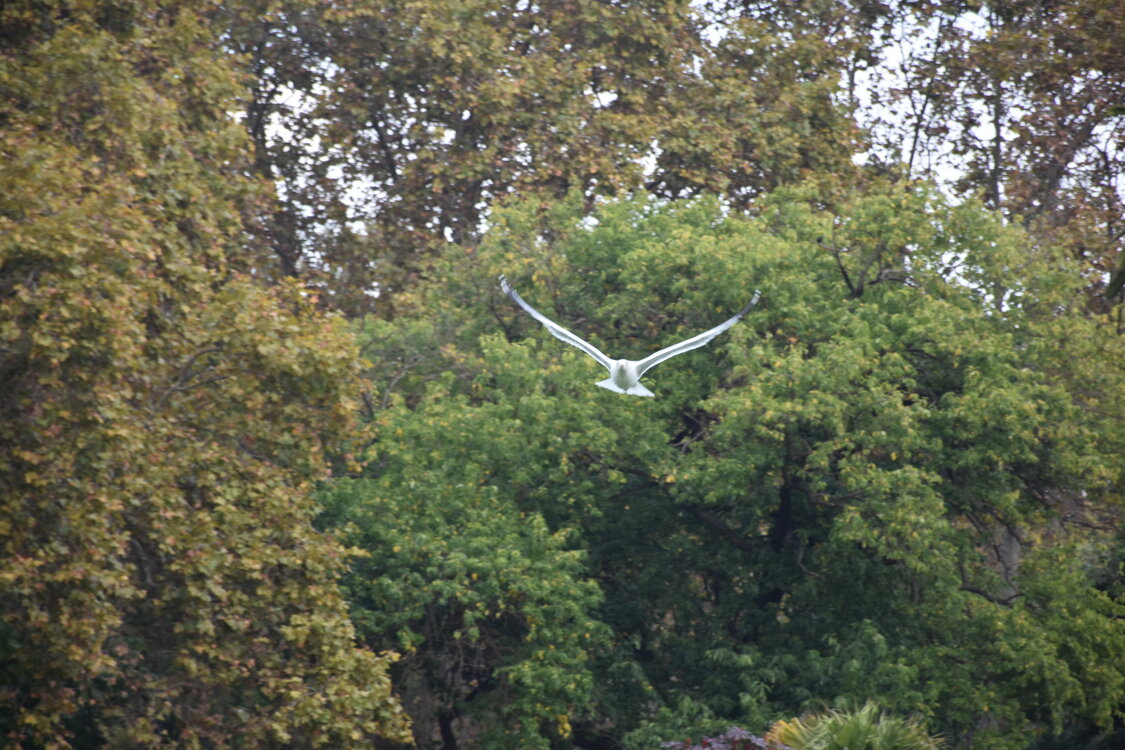 DSC_2304.JPG