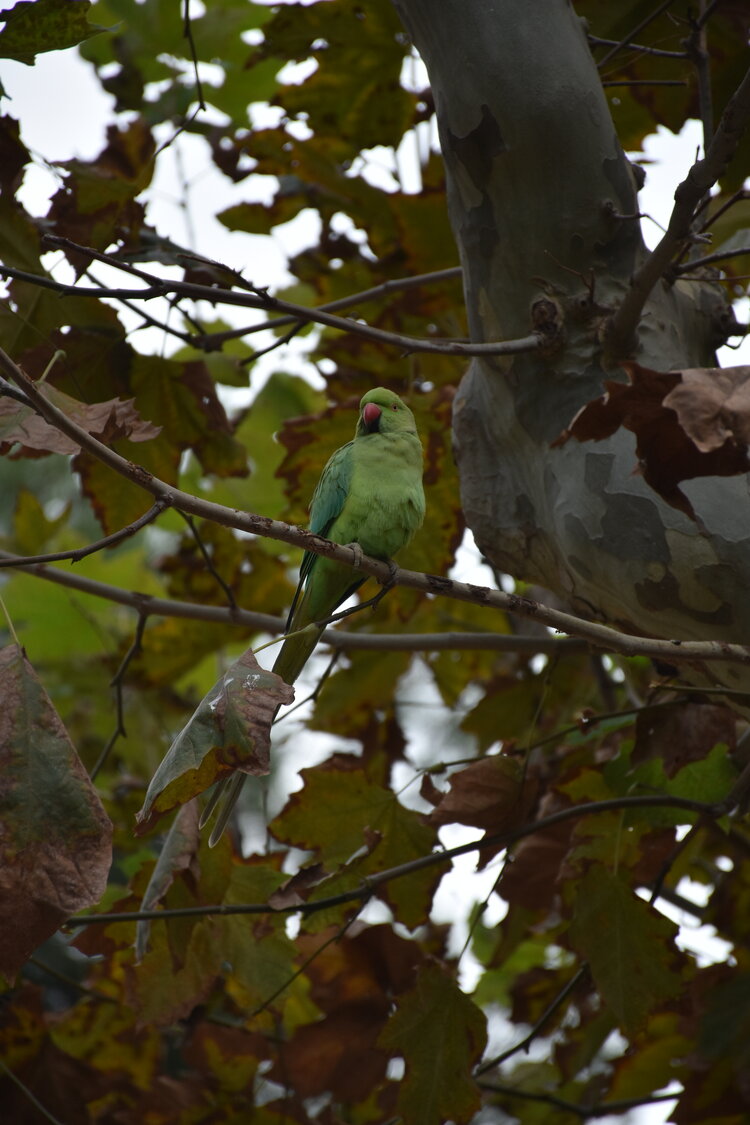 DSC_2327.JPG