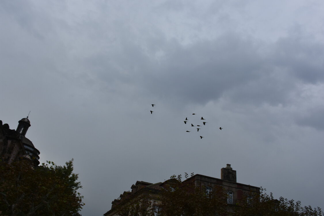 DSC_2341.JPG