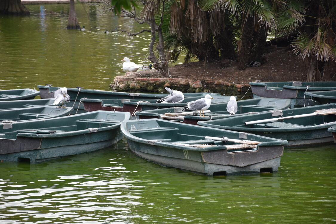 DSC_2346.JPG